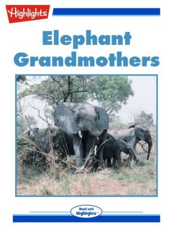 Elephant Grandmothers